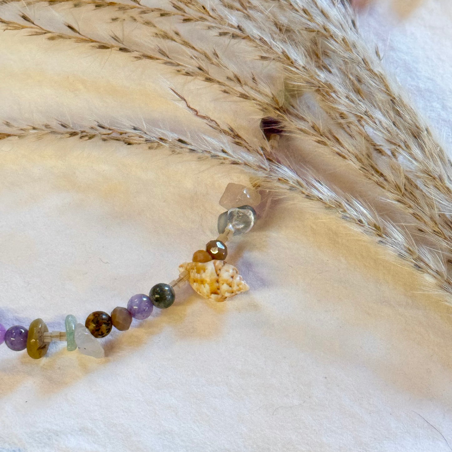 Coquillage Arc-en-Ciel đ