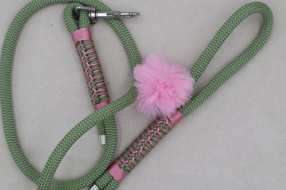 Laisse Holly Guacamole