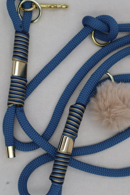 Laisse Gold Petrol Bleu